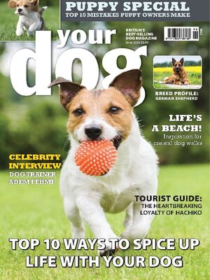 cover image of Your Dog